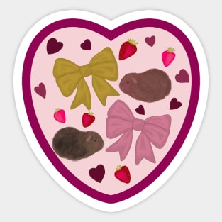 Guinea Pig Love Sticker